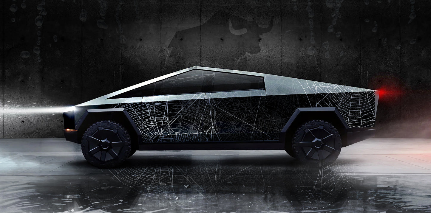 WEBS Series
