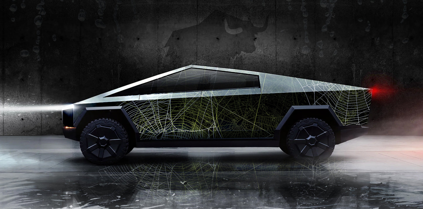WEBS Series