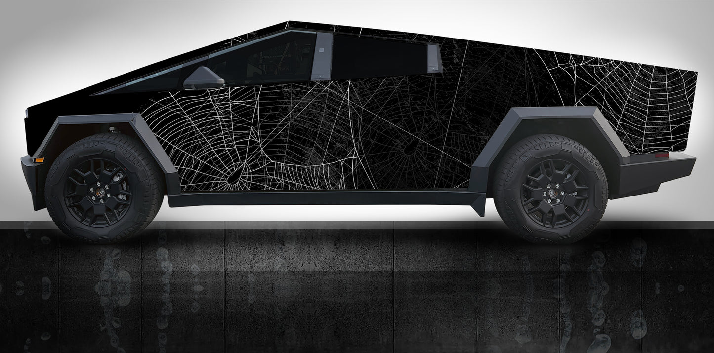 WEBS Series