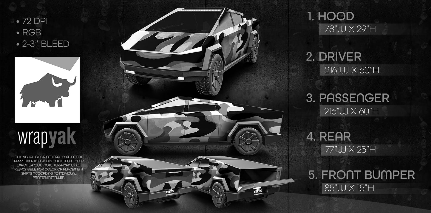 CAMO Series