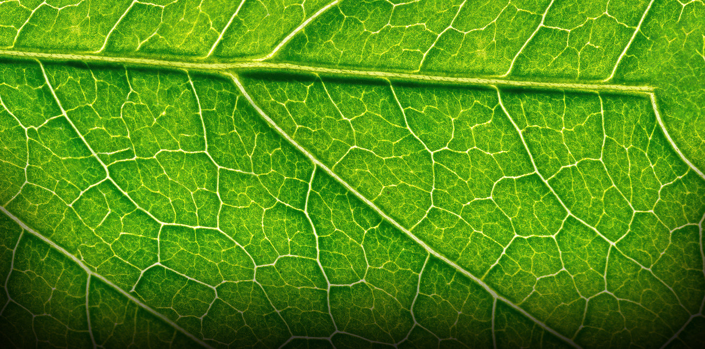 LEAF-3 Series