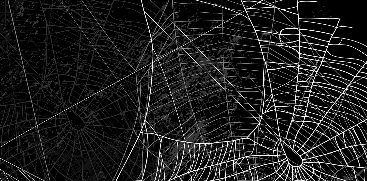 WEBS Series