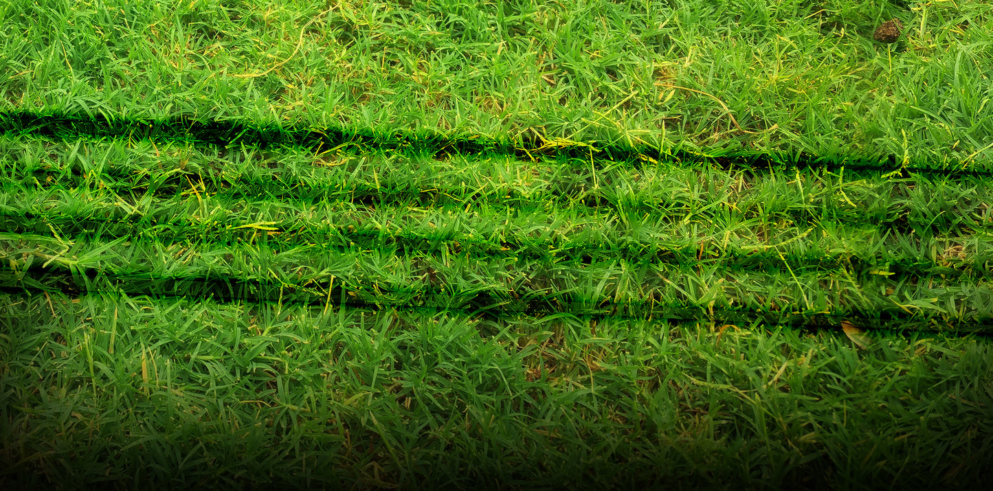 TURF Series