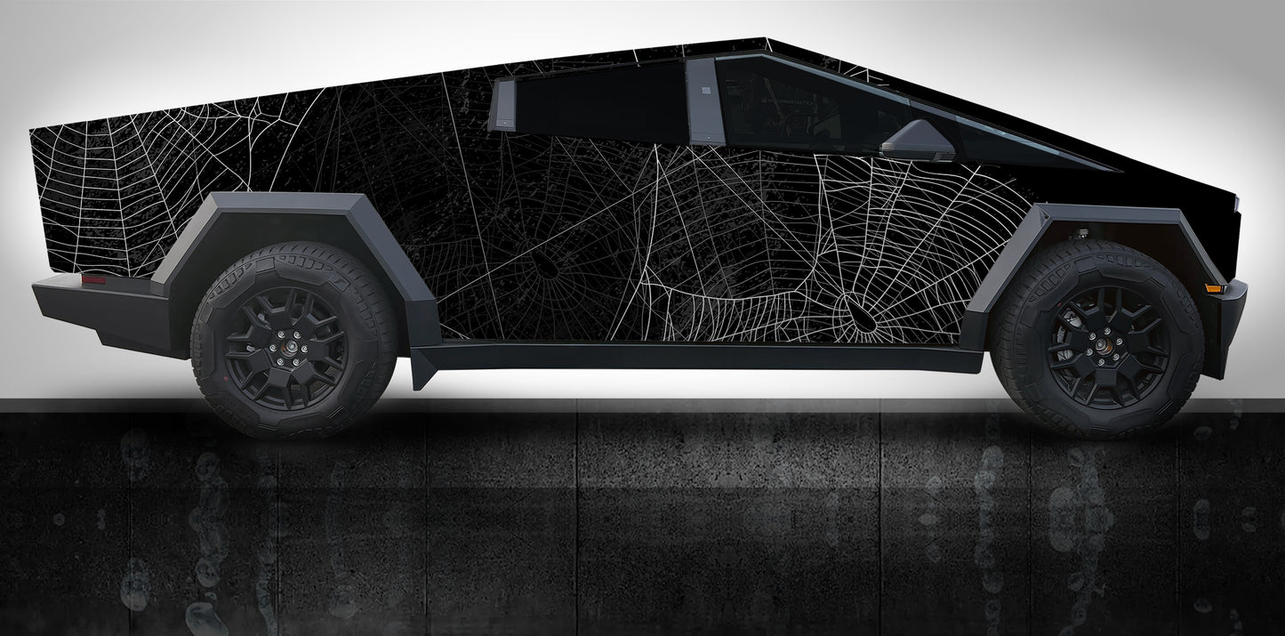 WEBS Series