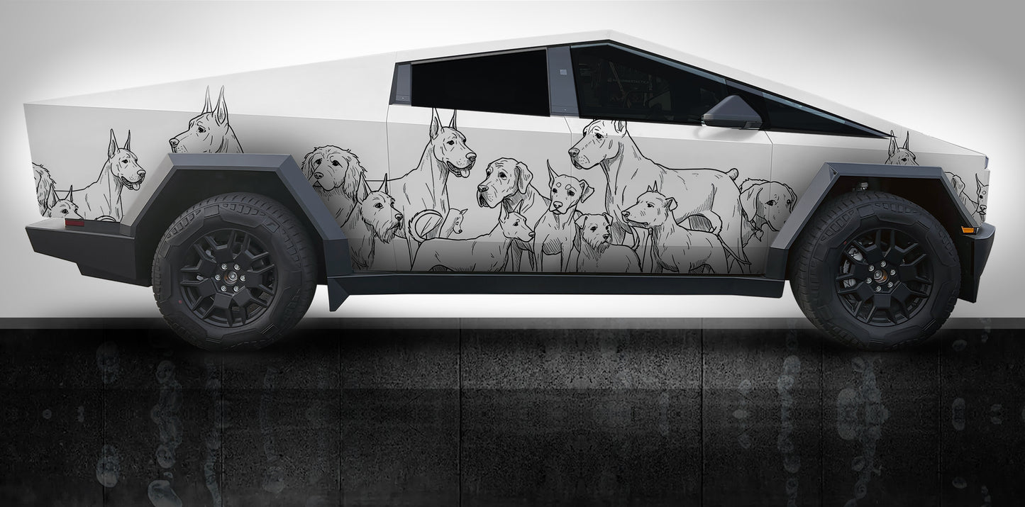 DOGS Series